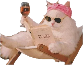 Cat in sunglasses reading How To Be Rich with a glass of wine